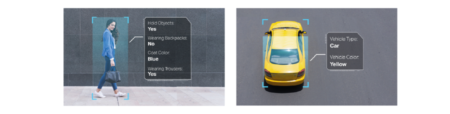 Human and Vehicle Search